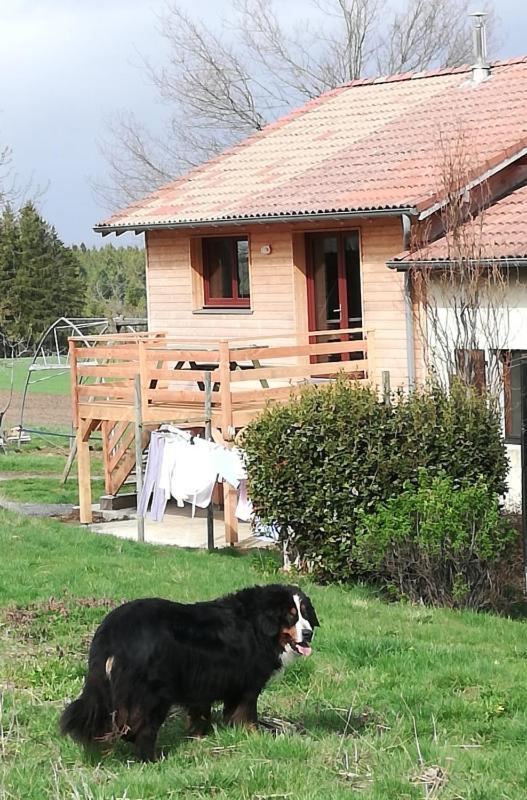 Gite La Ferme De Baffour La Chaise-Dieu Luaran gambar